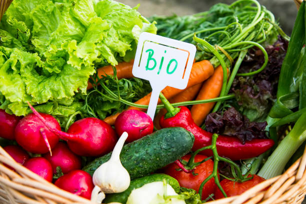 légumes bio