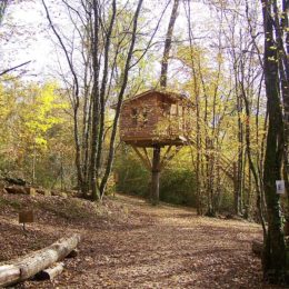 Cabane dans les arbres