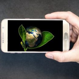 application écologique avec Aissa Hamada