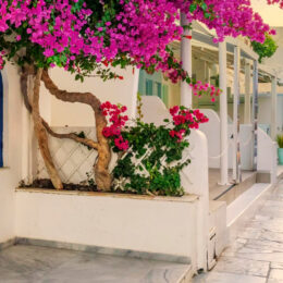 Sidi_Bou_Said
