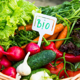légumes bio