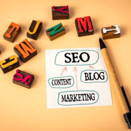 Consultant content SEO